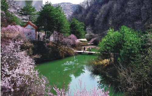 人文美景,冬景雪花,十條冬春精品旅游線路帶您暢游平?jīng)?></a></div>
<div   id=