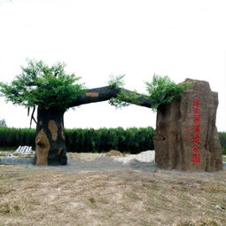 濮陽(yáng)假山大門,假山大門圖片