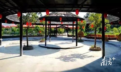 連平生態(tài)園種植基地巡禮②麒麟山生態(tài)園種出農(nóng)旅融合好 豐 景