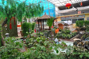 景泰鴻升生態(tài)園誠聘大廚