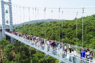 盈香生態(tài)園瀨粉節(jié)開幕 5d特效玻璃橋同步開放