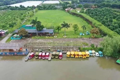恐龍出沒 萌寵來襲 五一假期,這個(gè)生態(tài)園區(qū)帶你回歸童年