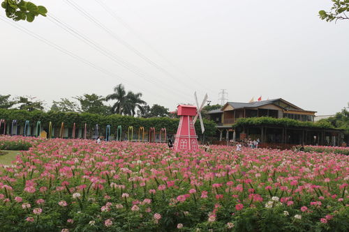 佛山團(tuán)建公司 戶外定向探索盈香生態(tài)園