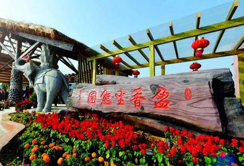 佛山團建公司 戶外定向探索盈香生態園