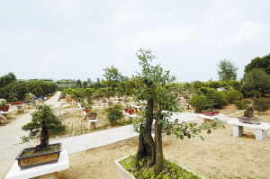 南陽日報(bào)多媒體數(shù)字報(bào)刊平臺,南陽日報(bào)多媒體數(shù)字報(bào)刊平臺,南陽,南陽日報(bào),南陽網(wǎng),南陽社區(qū)