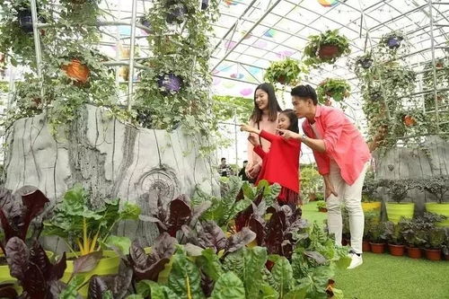 佛山首座5d炸裂玻璃橋,199元2大2小走起 高空飛索山頂直落 機(jī)動(dòng)樂園 山泉水泳場任玩