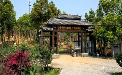 生態(tài)振興 湖光山色 中華鈣果牡丹生態(tài)園