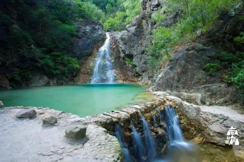 破局出圈，是每個人都該有的勇氣——九龍潭生態園啟示錄