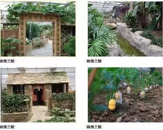 金秋之旅 蘭陵生態(tài)園賞向陽花、品美酒一日游