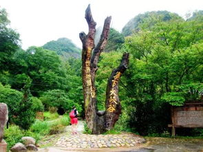 16周歲以下免票游世遺，668元泰寧雙動車2日游 大金湖、寨下大峽谷、九龍潭、尚書第全覽