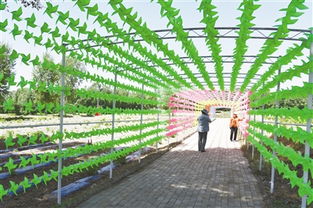 九龍潭生態園 綠水青山間的振興之路，讓貧困戶成為旅游產業的最大受益者