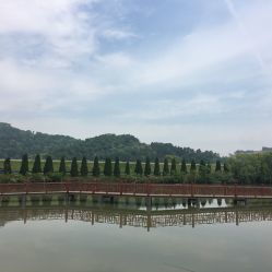 龍荷農(nóng)業(yè)生態(tài)園與九龍?zhí)渡鷳B(tài)園游覽指南 聯(lián)系方式、地址與營業(yè)時(shí)間