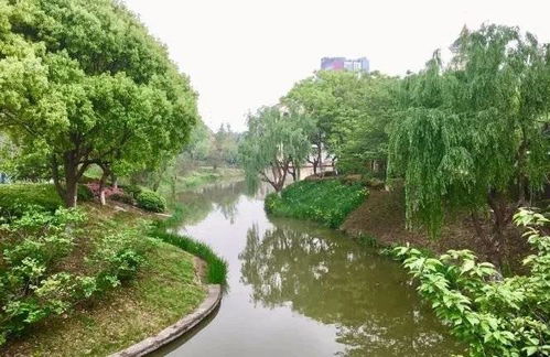 常熟奉賢手牽手，九龍?zhí)渡鷳B(tài)園繪就跨區(qū)域文旅新篇章