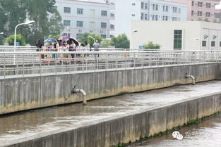2016市民環(huán)保開放日 走進(jìn)污水處理廠與濕地，共筑綠色東部生態(tài)園——九龍?zhí)渡鷳B(tài)園活動(dòng)回顧