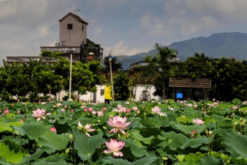 快看！博羅九龍?zhí)渡鷳B(tài)園入選惠州市第二批鄉(xiāng)村旅游精品線路