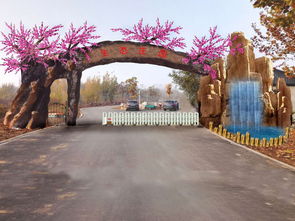 專業(yè)施工，生態(tài)融合 九龍?zhí)渡鷳B(tài)園仿真樹大門設(shè)計(jì)與安裝紀(jì)實(shí)