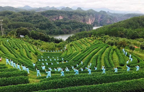 浴境元康養(yǎng)之氣，九龍?zhí)渡鷳B(tài)園祝您端午安康